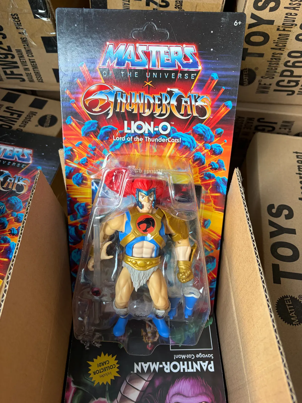 2025 Motu Masters Of The Universe Thunder-Cats Thundercats  Lion-O 1