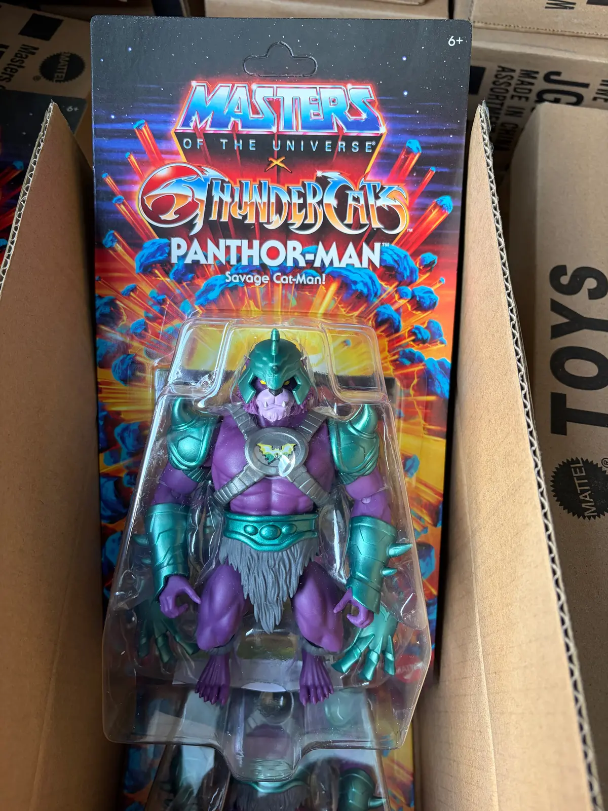 2025 Motu Masters Of The Universe Thunder-Cats Thundercats  Panthor-Man 1