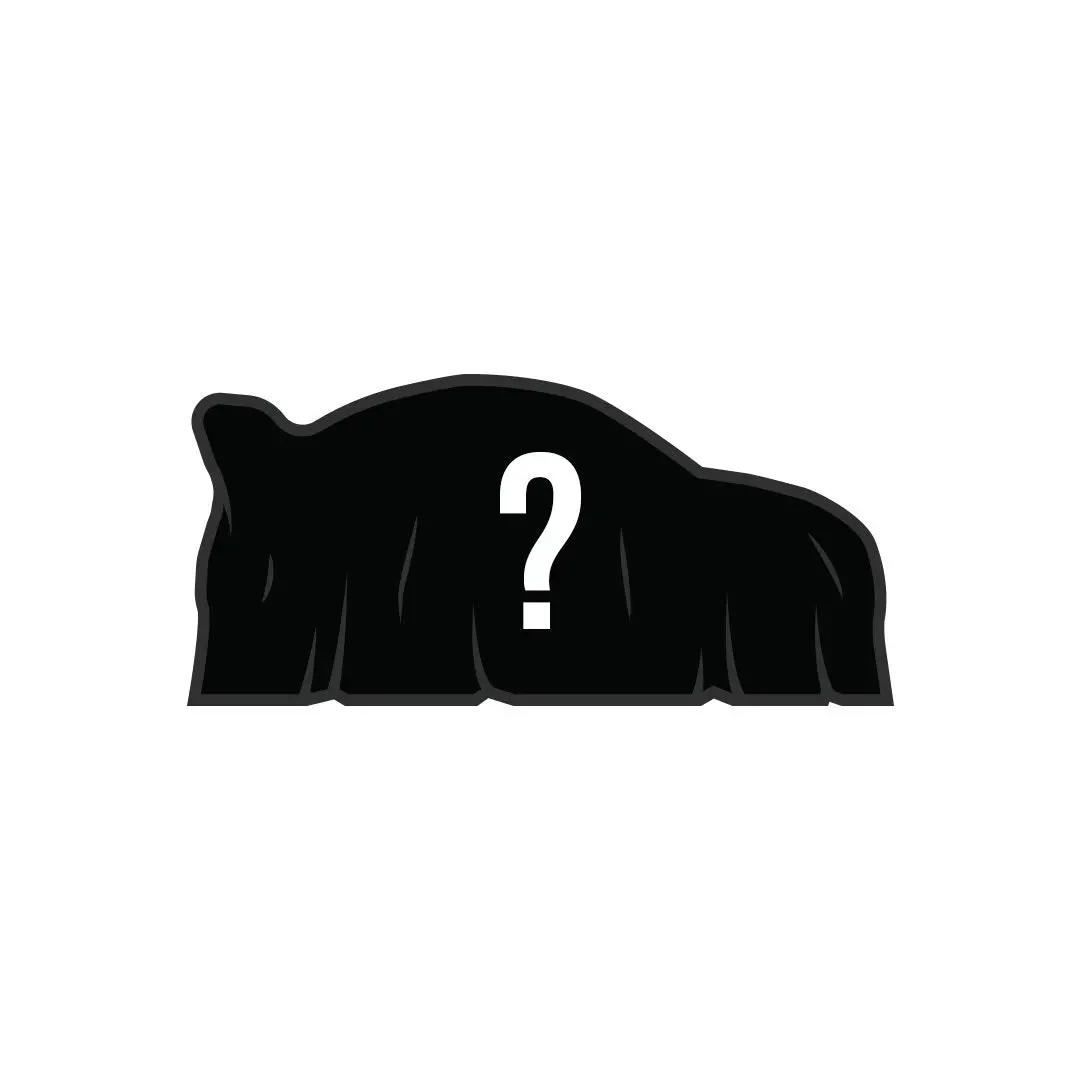 $10 Mystery Pin 1