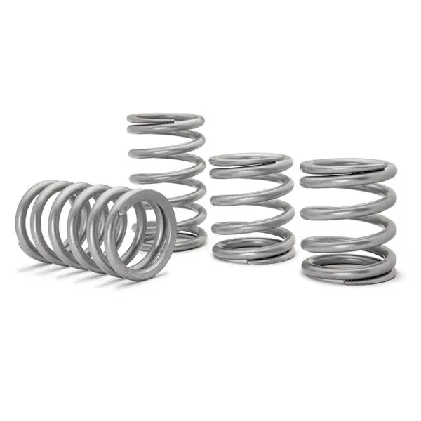 Superatv Polaris Rzr Xp 1000 Tender Springs (2019-23) 1