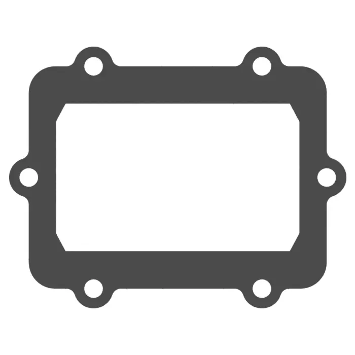 Reed Cage Gaskets / Polaris Boost (2 Pack) 1