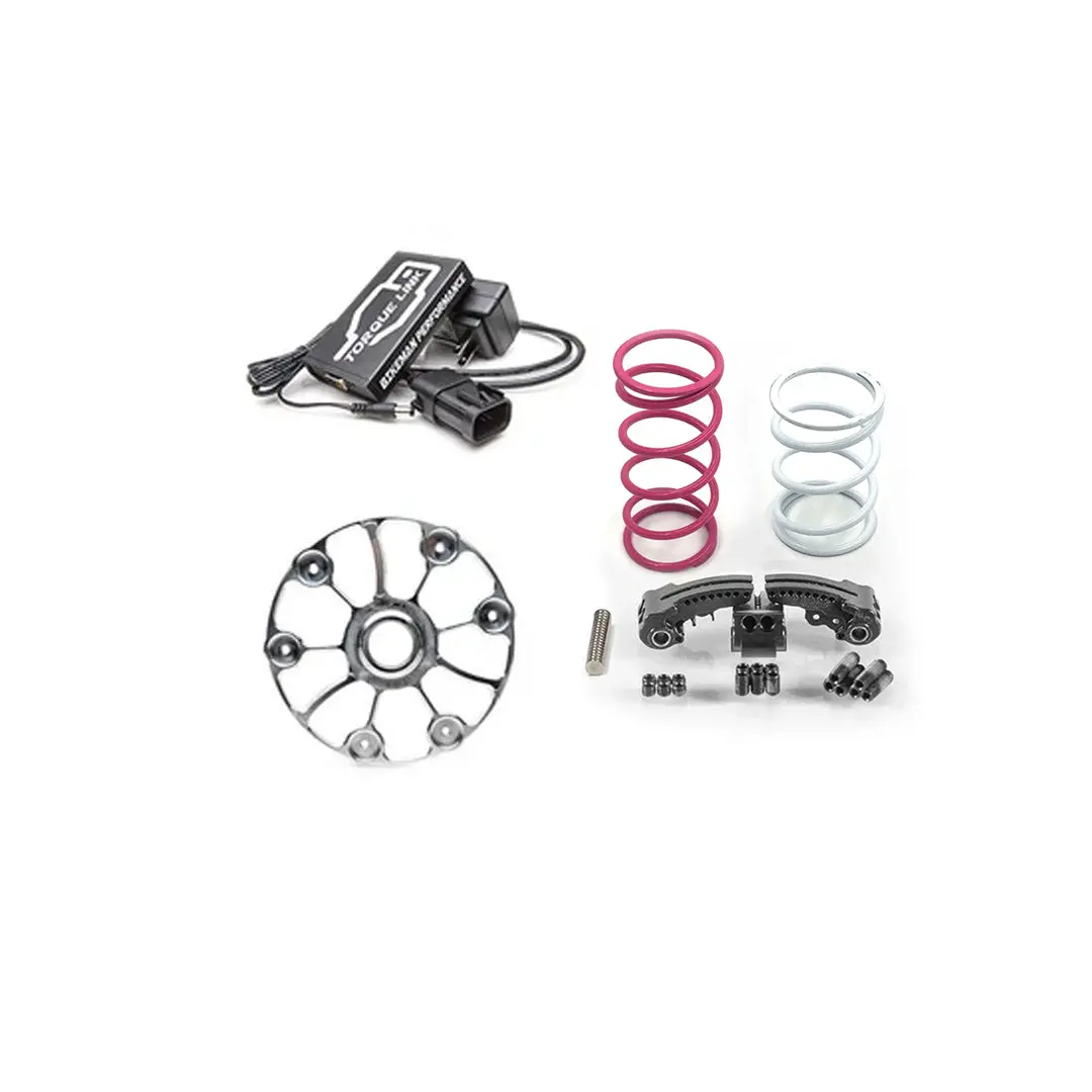 Pro R 260Hp Performance Kit (Stage 1) // Sku: 15-336-1 1